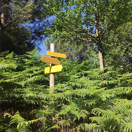 Intimiste Avec Piscine Privee Chauffee Lecci