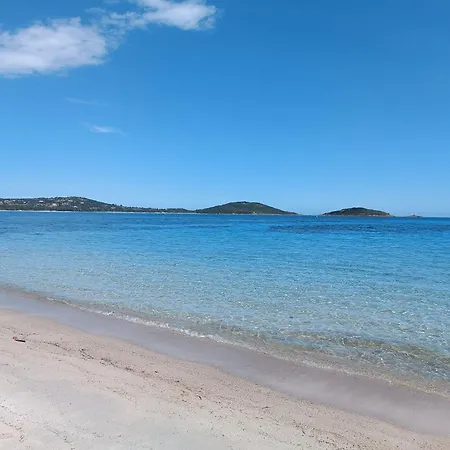 Posidonie, 5 Pers, Clim Et Piscine Chauffée * Lecci