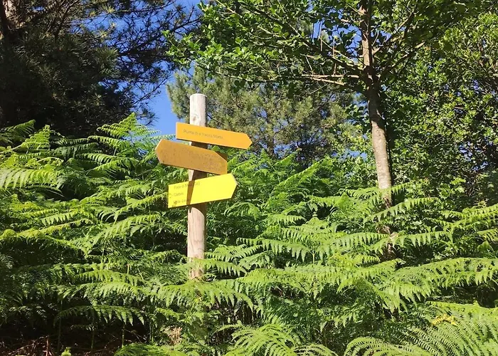 Posidonie, 5 Pers, Clim Et Piscine Chauffée Lecci