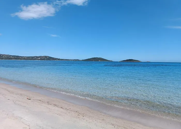 Posidonie, 5 Pers, Clim Et Piscine Chauffée * Lecci